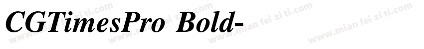 CGTimesPro Bold字体转换